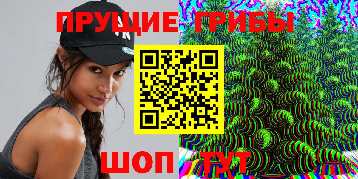 Псилоцибиновые грибы GOLDEN TEACHER Кудымкар