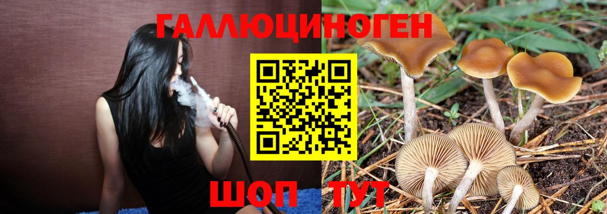 Кудымкар  Галлюциногенные грибы Magic Shrooms  Вход с VPN  Галлюциногенные грибы мухоморы 